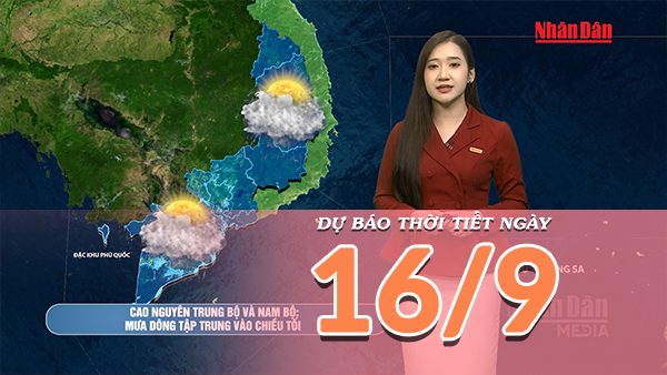 [Video] Dự báo thời tiết ngày 16/9/2026: Bắc Bộ mưa lớn kéo dài, Trung Bộ và Nam Bộ có mưa dông