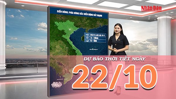 [Video] Dự báo thời tiết ngày 22/10/2026: Không khí lạnh tăng cường, miền Bắc nhiều mây, miền Trung có mưa