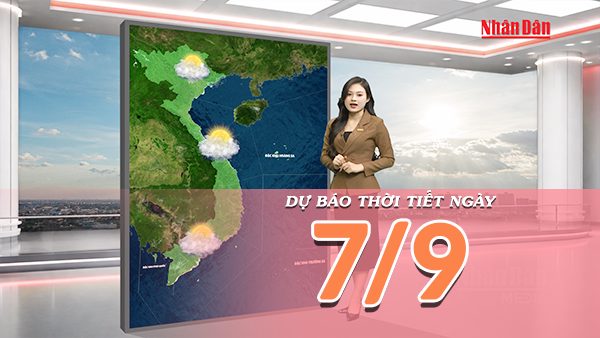 [Video] Dự báo thời tiết ngày 7/9/2026: Bắc Bộ chuyển nắng diện rộng, Trung Bộ có mưa về chiều tối