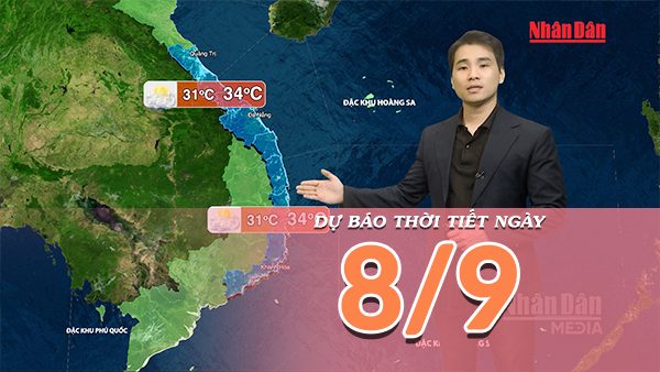 [Video] Dự báo thời tiết ngày 8/9/2026: Bắc Bộ tạnh ráo, Trung Bộ và Nam Bộ nhiều nơi mưa dông