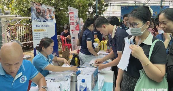 Việc làm lương từ 10 - 39 triệu đồng/ tháng, vẫn nhận người chưa có kinh nghiệm