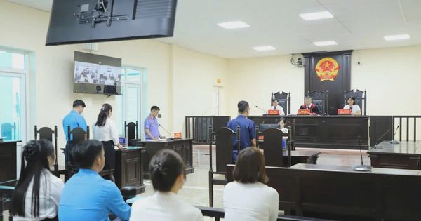 Viện kiểm sát khởi kiện dân sự doanh nghiệp chậm, trốn đóng BHXH