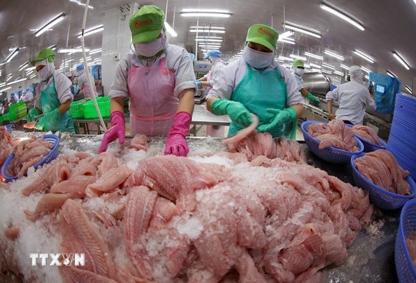 Việt Nam-Bỉ mở rộng hợp tác, khai thác dư địa thương mại và đầu tư