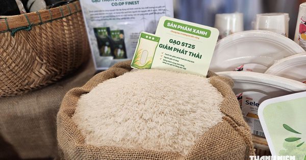 Việt Nam có 123.000 tấn gạo phát thải thấp đạt chứng nhận