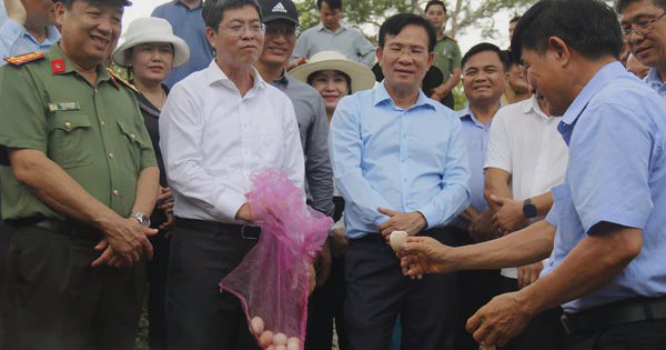Việt Nam có suối nước nóng tự nhiên gần 90°C, đủ sức làm chín trứng gà chỉ trong 10 phút, dự kiến được xây dựng thành tổ hợp hiện đại