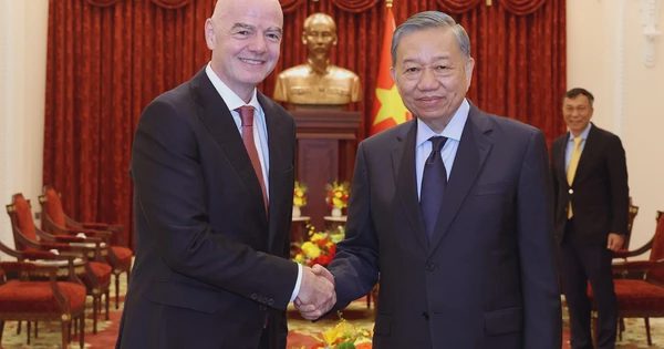 Việt Nam đề nghị FIFA hỗ trợ phát triển hạ tầng, đăng cai các giải đấu lớn