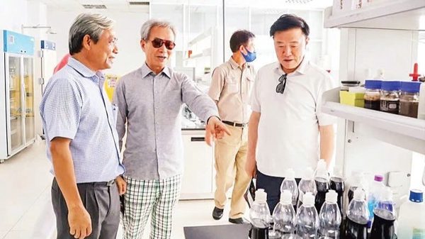 Việt Nam, Hàn Quốc chuyển mạnh sang hợp tác công nghệ cao và đổi mới sáng tạo