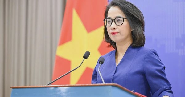 Việt Nam hoan nghênh việc EU đưa ra khỏi danh sách không hợp tác về thuế
