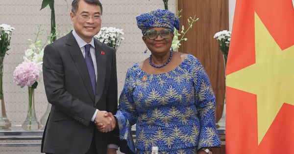 Việt Nam là minh chứng tiêu biểu cho sự thành công của WTO