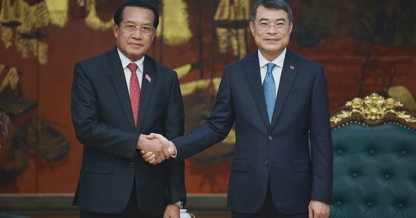 Việt Nam - Lào tiếp tục phối hợp triển khai các nhiệm vụ hợp tác
