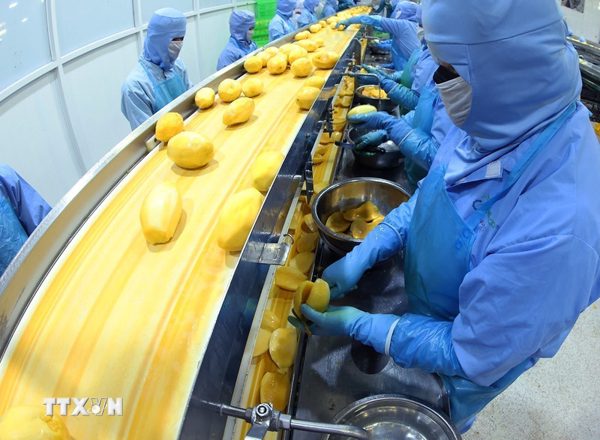 Việt Nam-Liên minh châu Âu: Nâng chuẩn nông sản, thúc đẩy chuyển đổi xanh