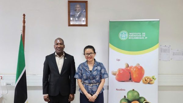 Việt Nam-Mozambique thúc đẩy hợp tác trong sản xuất và chế biến nông sản