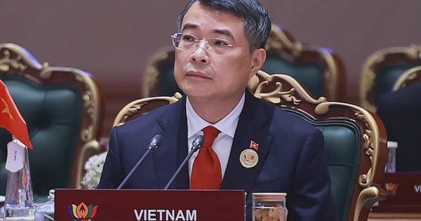 Việt Nam sẵn sàng đồng hành cùng BRICS kiến tạo tương lai