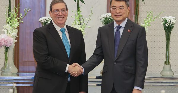Việt Nam sẵn sàng làm hết sức mình để hỗ trợ Cuba