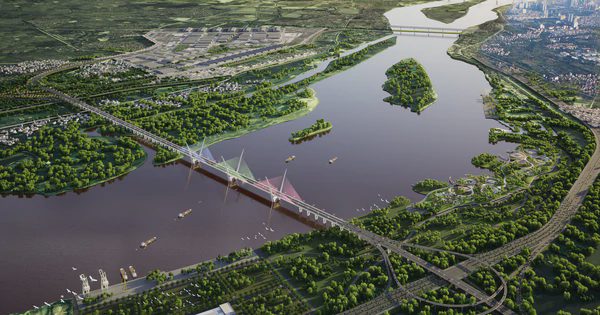 Việt Nam sắp có siêu cầu dây văng 7.300 tỷ đồng, dài hơn 5 km, sở hữu kiến trúc đặc biệt chưa từng có