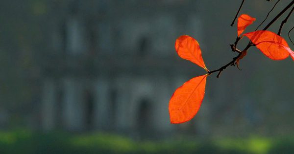 Việt Nam vào top điểm đến mùa thu đẹp nhất thế giới