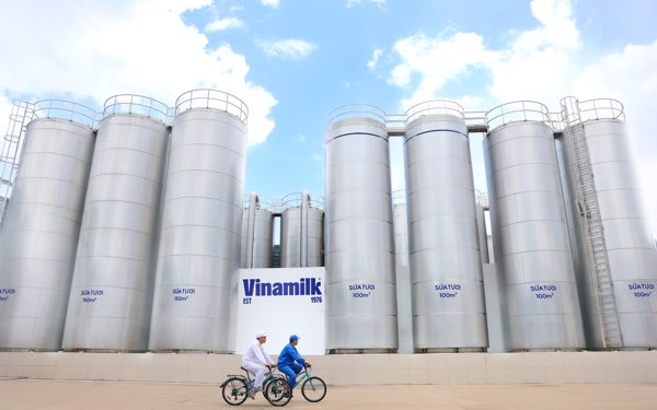 Vinamilk và hành trình 50 năm không ngừng nâng chuẩn