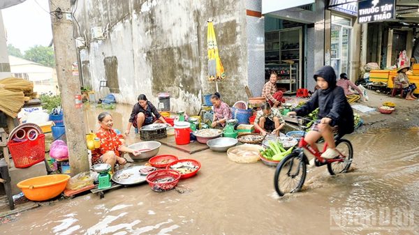 Vĩnh Long chủ động ứng phó triều cường sớm