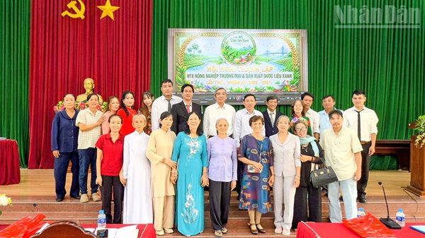 Vĩnh Long đẩy mạnh liên kết sản xuất và tiêu thụ dược liệu xanh