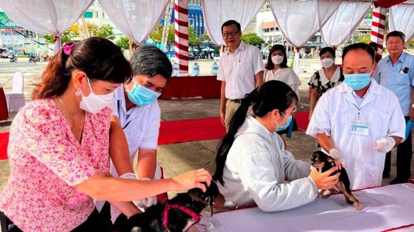 Vĩnh Long ghi nhận nhiều trường hợp tử vong do bệnh dại