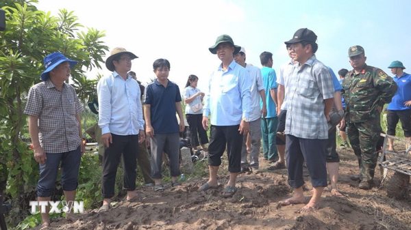 Vĩnh Long khẩn trương khắc phục sạt lở đê bao cồn Cái Gà