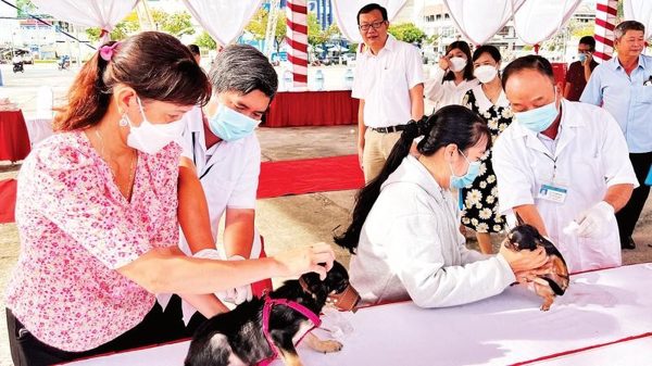 Vĩnh Long tập trung phòng, chống bệnh dại