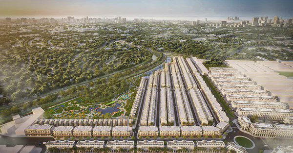 Vịnh Xanh: Hai nhịp sống cách nhau một cánh cổng
