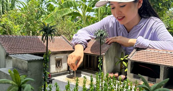 Vợ chồng trẻ thu nhỏ những ngôi nhà cổ gây chú ý
