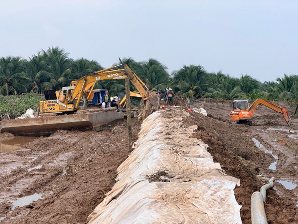 Vỡ đê bao ở Vĩnh Long, ước thiệt hại tiền tỷ