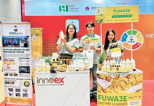 Vỏ dứa Việt chinh phục thị trường Âu - Mỹ