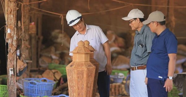 Vỏ quế Trà Bồng làm nên đôi lục bình 'khổng lồ'