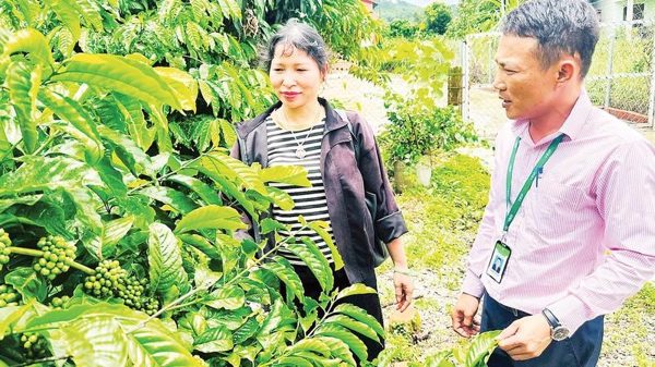 Vốn chính sách tiếp sức sản xuất vùng cao