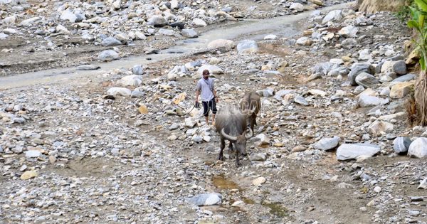 Vụ 50 ha ruộng bị đá sỏi 'đóng băng': Quy hoạch mỏ khoáng sản để đấu giá