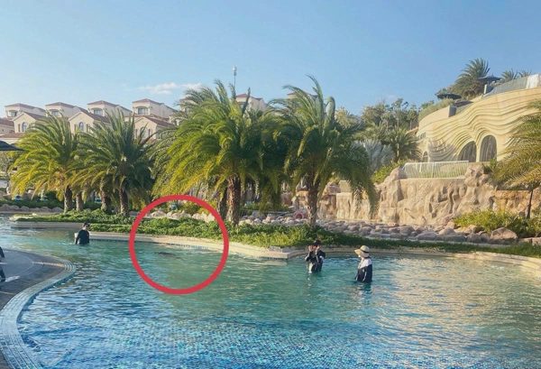 Vụ bé trai người Nhật tử vong tại resort 5 sao: Một người bị khởi tố
