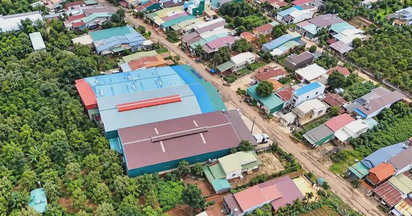 Vụ kho sầu riêng xây trái phép: Đắk Lắk lập 2 đoàn kiểm tra