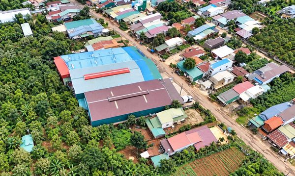 Vụ kho sầu riêng xây trái phép: Đắk Lắk lập 2 đoàn kiểm tra