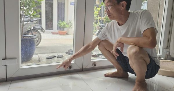 Vụ mùi hôi bủa vây khu dân cư TP.HCM: Tổng công ty Phong Phú phản hồi