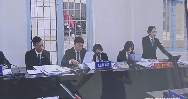 Vụ nữ sinh Vĩnh Long tử vong: Luật sư đề nghị làm rõ 'người bí ẩn' ngồi cạnh tài xế