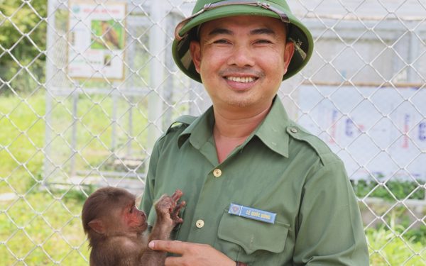 'Vú nuôi' của những chú khỉ đặc biệt ở trung tâm cứu hộ động vật hoang dã
