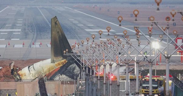 Vụ rơi máy bay Jeju Air: 7 quan chức bị cáo buộc che giấu sai phạm