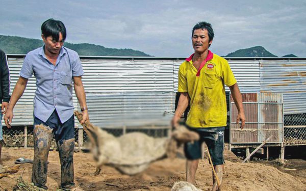 Vụ vỡ đập nước Tân Lai: Lâm Đồng lập tổ định giá, chuẩn bị đối thoại giữa người dân và doanh nghiệp