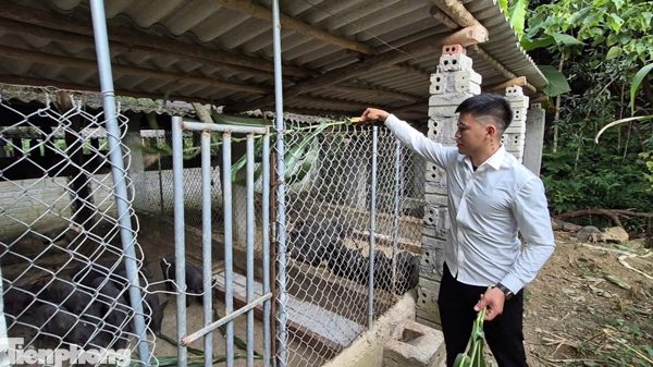 Vực dậy nhờ Nghị quyết 21