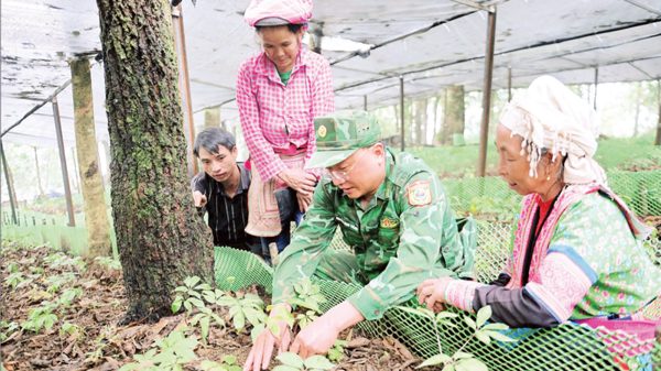 Vun đắp thế trận lòng dân nơi biên giới