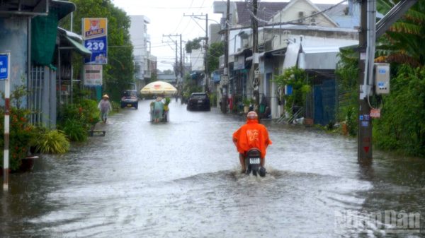 Vùng nội ô Cà Mau ngập sâu trong mưa