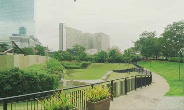 Vườn mưa có thể ngăn chặn ngập lụt ở các thành phố