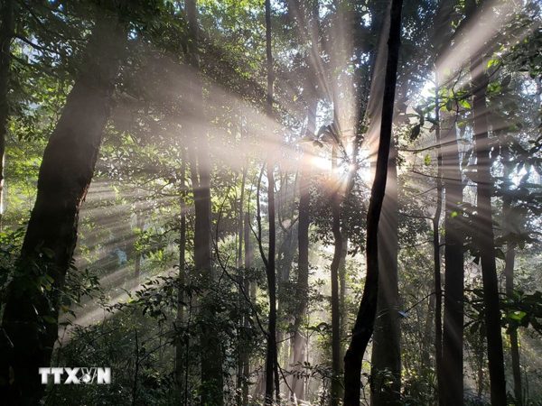 Vườn Quốc gia Kon Ka Kinh - món quà thiên nhiên vô giá của cao nguyên Gia Lai