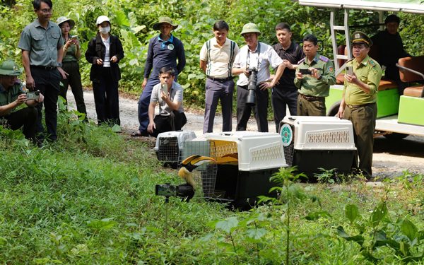 Vườn quốc gia Phong Nha - Kẻ Bàng mở hướng du lịch ngắm chim hoang dã