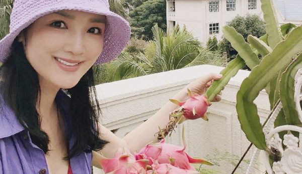 Vườn rau trái ở biệt thự của hoa hậu Giáng My
