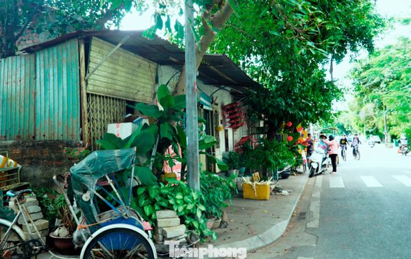 Vướng mặt bằng, dự án bảo tồn Kinh thành Huế chậm tiến độ