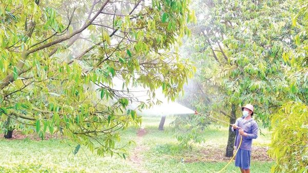 Vượt khó bám biên giới làm giàu